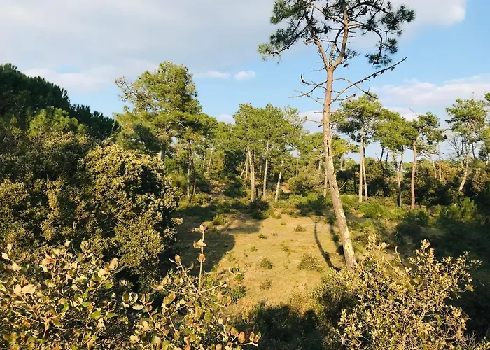 T2 Du Centre, Charme Et Exotisme Apartamento *