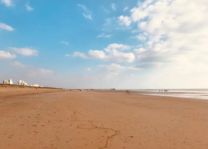 Apartamento T2 Du Centre, Charme Et Exotisme